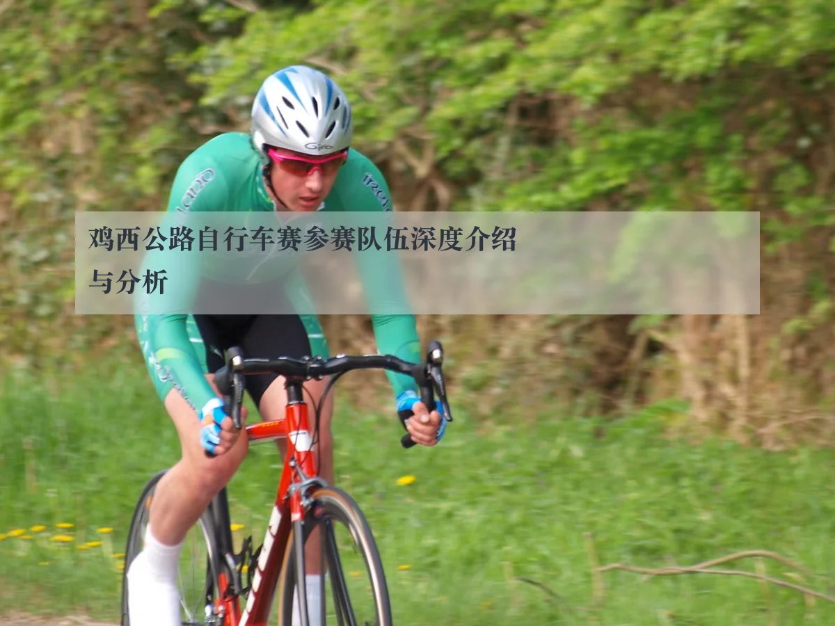 鸡西公路自行车赛参赛队伍深度介绍与分析